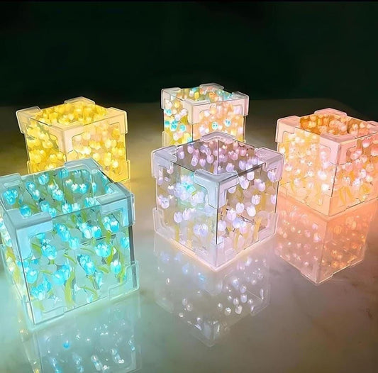 infinite Tulip Cube Mirror Lamp
