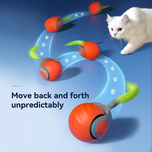 automated rolling ball Cat/dog Toy